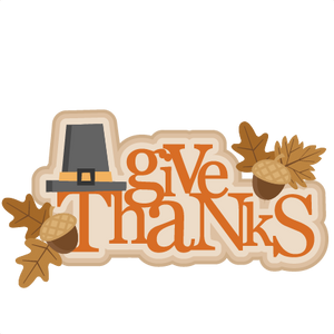 This Season We're Thankful for Scratch-Free Hardwood Floors!